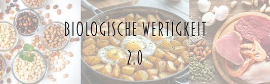 Verschiedene Lebensmittel wie Bratkartoffeln, Eier und Fleisch nebeneinander