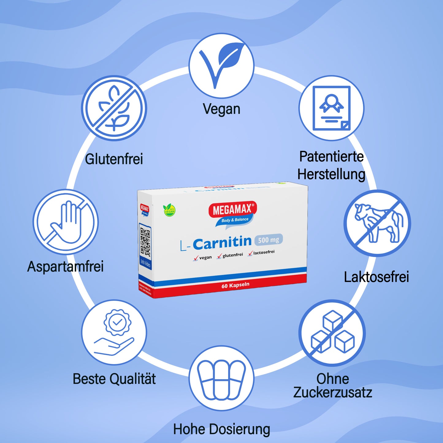 L-Carnitin 500 (Kapseln)