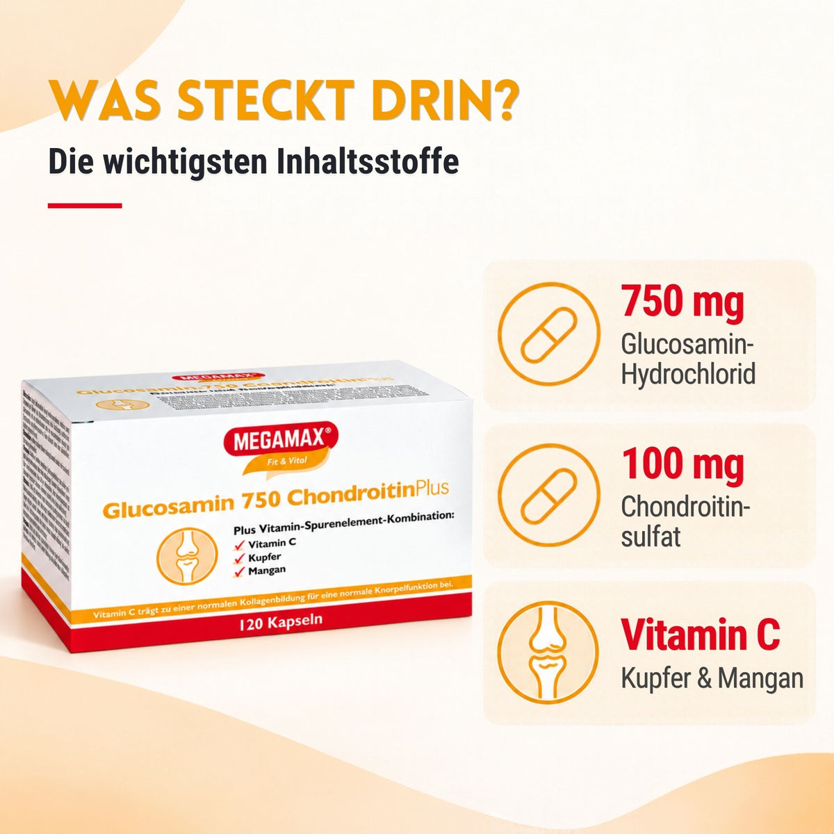 MEGAMAX Glucosamin Chondritin Plus Kapseln Inhaltsstoffe