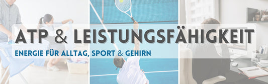 ATP für Haushalt, Tennis, Büroarbeit