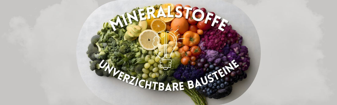 Früchte, Gemüse, Nüsse in Form eines Gehirns