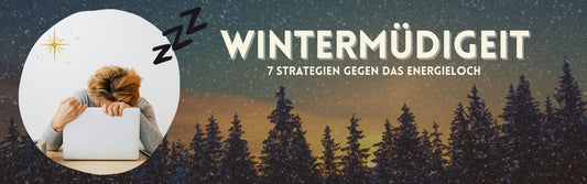Tannenbäume im Sonnenuntergang mit Sternen am Himmel und Frau die auf Laptop einschläft