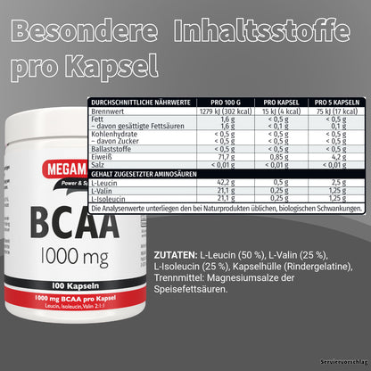 BCAA 1000 100 Kps.