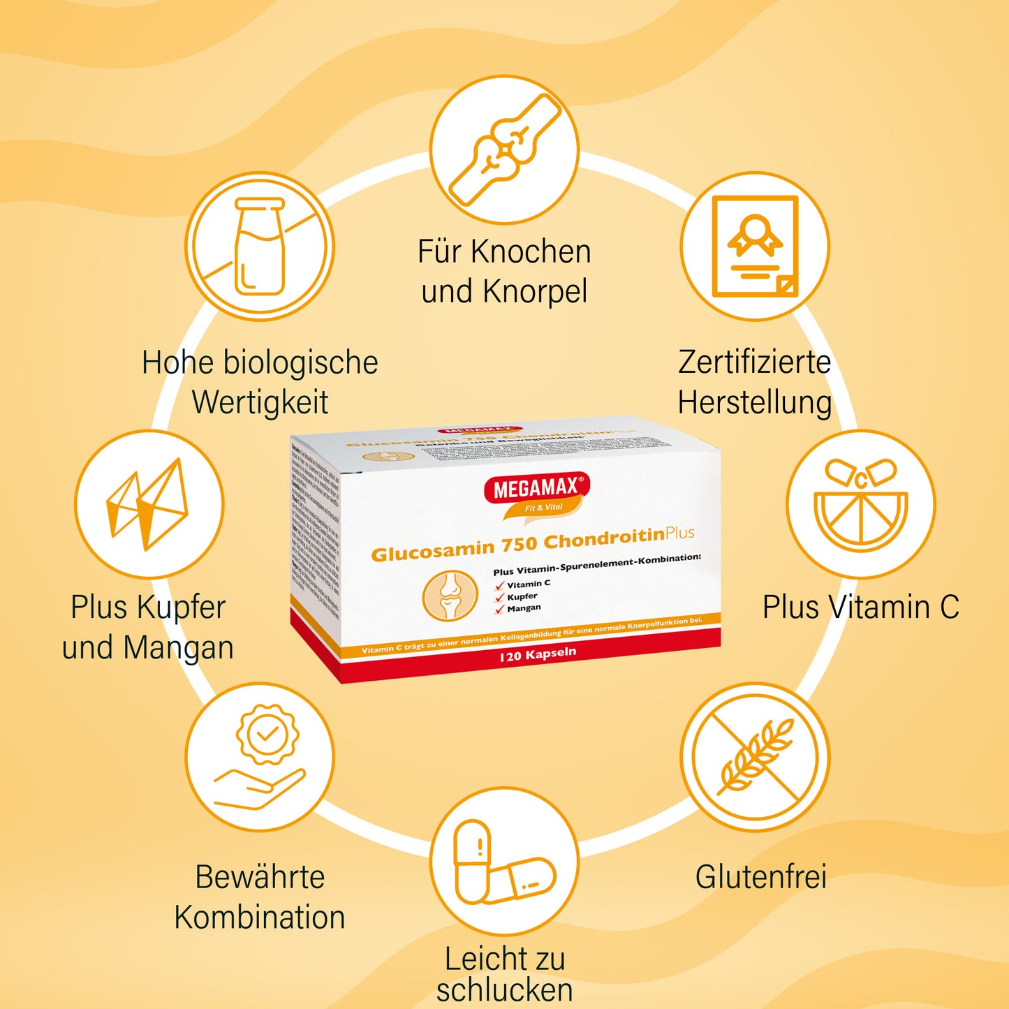 Glucosamin Chondroitin Kps.