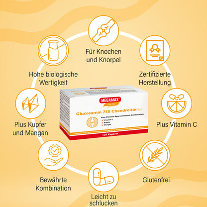 Glucosamin Chondroitin Kps.