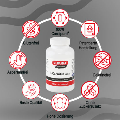 l carnitine bulk Acetyl L Carnitine Powder l carnitine bulk Acetyl L Carnitine Powder
